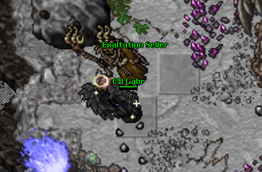 Exaltation Seller NPC.gif