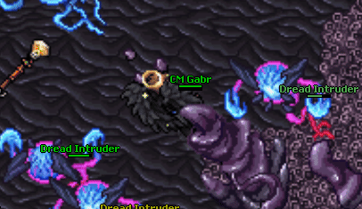 Old npc magic rope.gif