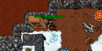 Crystal wolves bookshelf.gif
