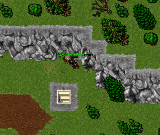 Greenvile map.gif