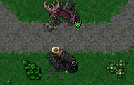 MP Pets.gif