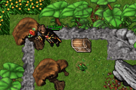 Modified crossbow quest.gif