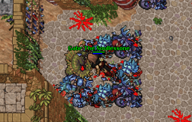 Nagas temple gate.gif