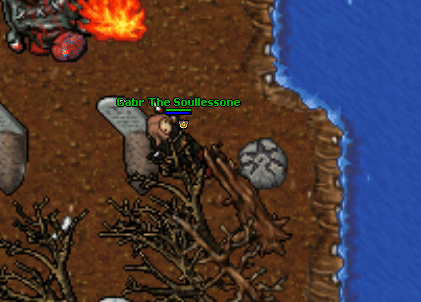Summer ward stone absorb.gif