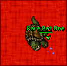 One 2 landturtle 100.gif
