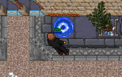 File:Mini World Boss Entrance.gif