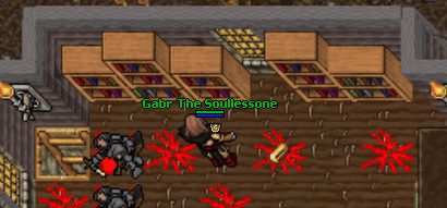 Lions bastion bookshelf.gif
