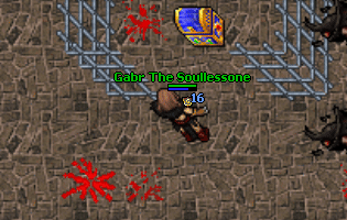 Shaman addons quest.gif