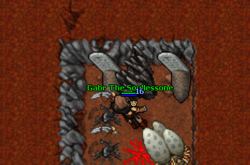 Druid addons outfit quest.gif
