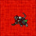 Common corym charlatan 0.png