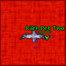 Two 1 pidgeon 0.gif