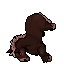 Wild Horse.gif