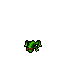 Frog.gif