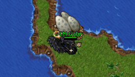 Egg Hunter Break.gif