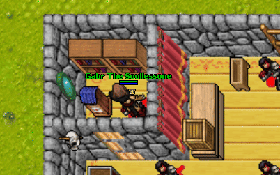 Witches and necromancers bookshelf.gif