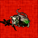 Common elder corym 350.png