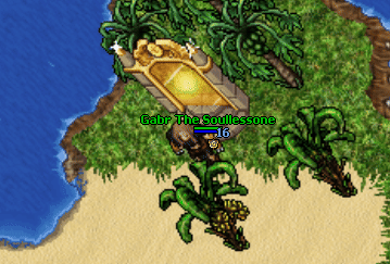 Tortoise island waypoint.gif