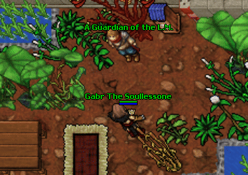 Aguardianofthelm.gif