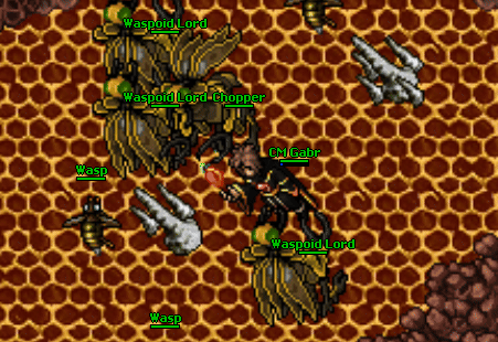 Chopper map.gif