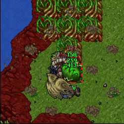 Mage Pet Spells2.gif