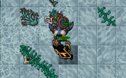 Manta ray mount quest.gif
