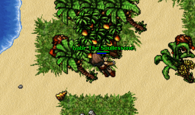 Warrior addons outfit quest.gif