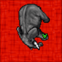 Rare elephant 125.png