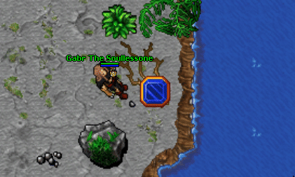 Elementalist addons outfit quest1.gif