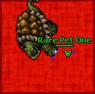 One 3 grownsandturtle 200.gif