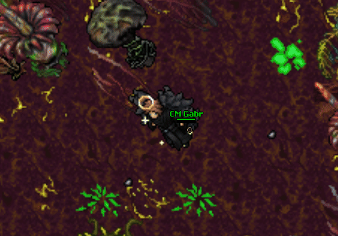 Plagirath Fight.gif