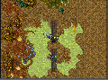 Thumbnail for version as of 12:57, 25 March 2025