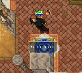 Beginners Guide 2.gif