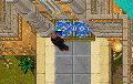 Metrica Access.gif