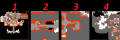 16 wws.png