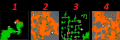 18 sws.png