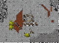 Ek chivarouschallenge.gif