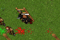 Thumbnail for version as of 00:58, 4 May 2026
