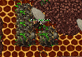 Thumbnail for version as of 19:15, 26 February 2026