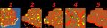 Thumbnail for version as of 19:14, 26 February 2026
