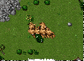 Ed iceburst.gif