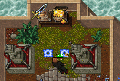 POI Quest.gif