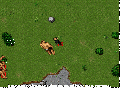 Ed terabeam.gif