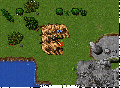 Ed avatarofnature.gif
