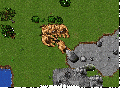 Ed terawave.gif