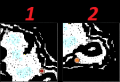 Thumbnail for version as of 03:29, 21 January 2026