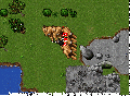 Ed aurareflect.gif