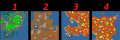 Thumbnail for version as of 19:49, 23 January 2026