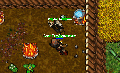 Thumbnail for version as of 17:40, 20 September 2025