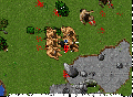 Ed wrathofthenature.gif