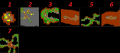 Thumbnail for version as of 19:18, 27 June 2026